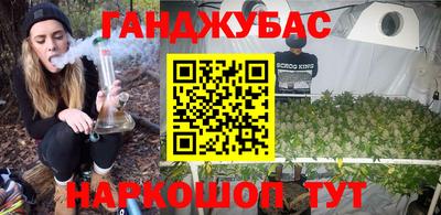 прущие грибы Чебоксары