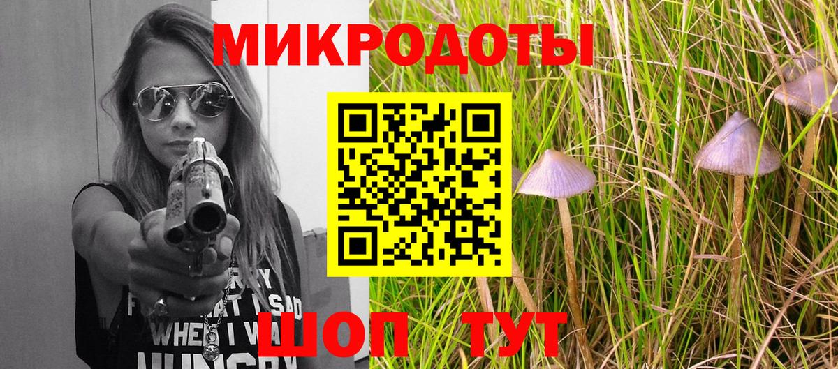 Галлюциногенные грибы Psilocybine cubensis Волхов