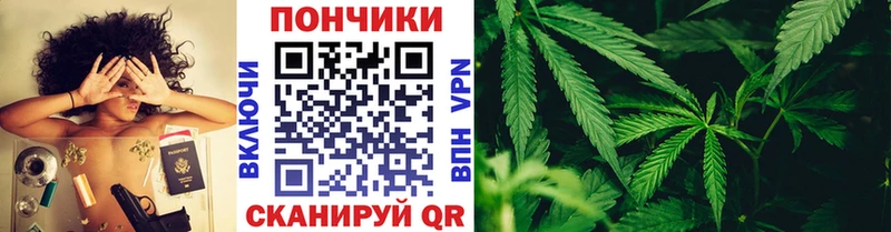 купить наркотик  KRAKEN   Шишки марихуана индика  Волхов 